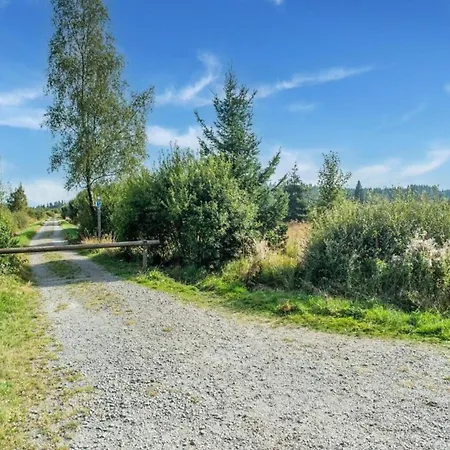 Modernes In Usseln Mit Terrasse, Cleaning Included * Willingen (Upland)
