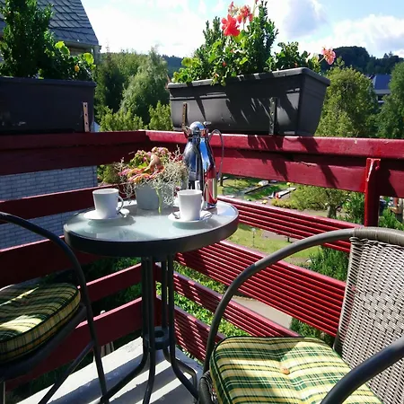 Modernes In Usseln Mit Terrasse, Cleaning Included Willingen (Upland)